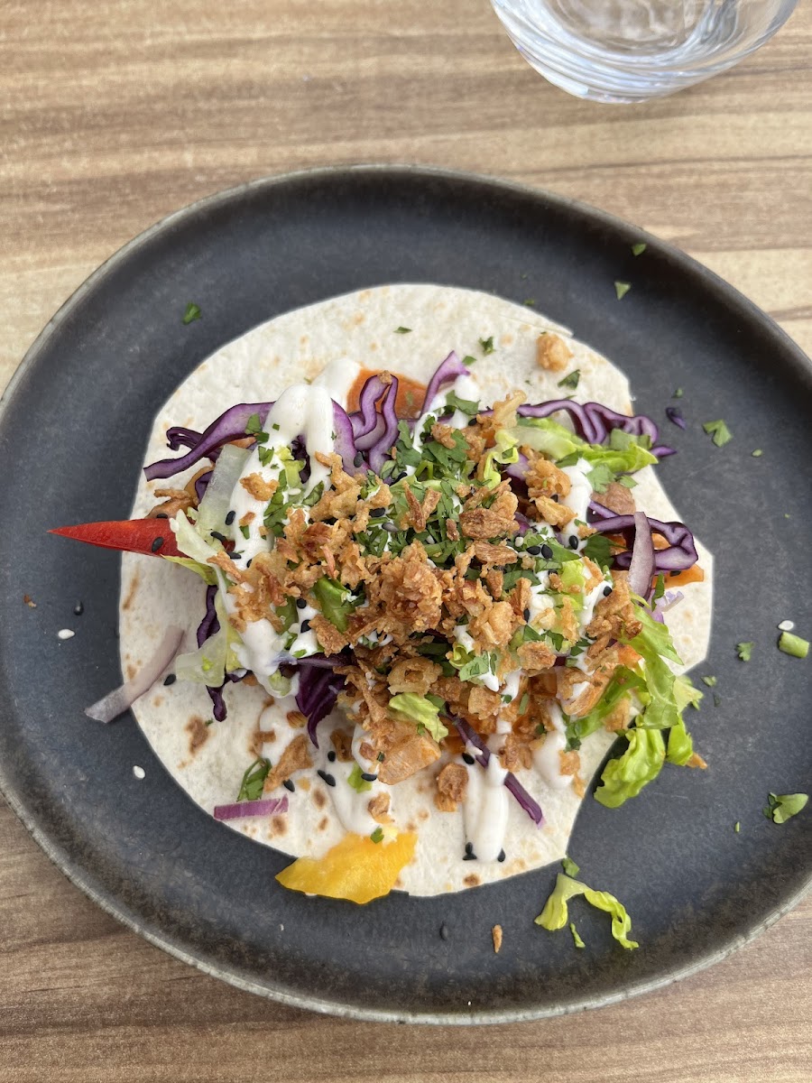 Pasaia Anglet Photos 2